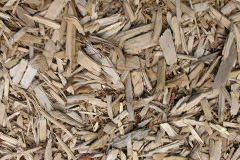 biomass boilers Aiginis